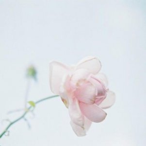 ​马达加斯加电影里的经典台词（800句经典电影台词截图）