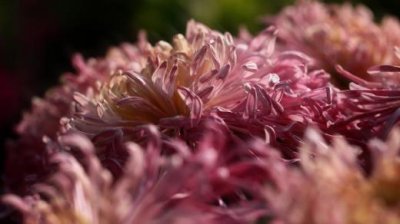 ​个性签名情感语录(签名语录经典语录)