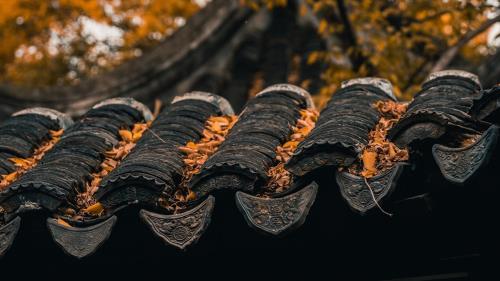 2023最火的昵称男