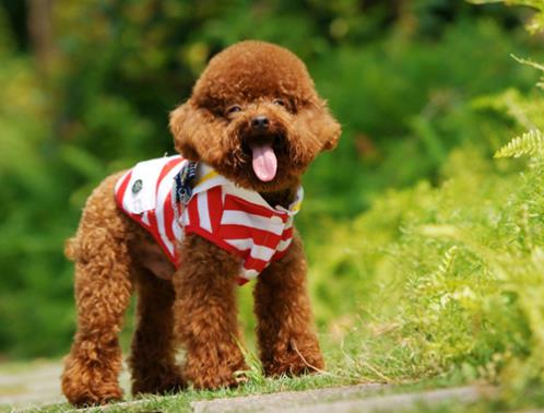 微信八字签名,个性签名唯美