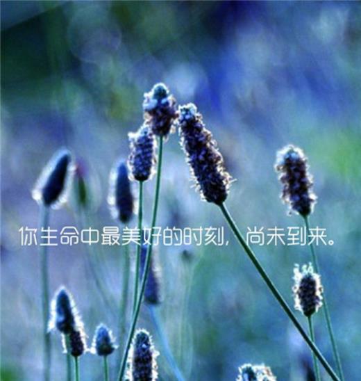 描写春天的词语唯美