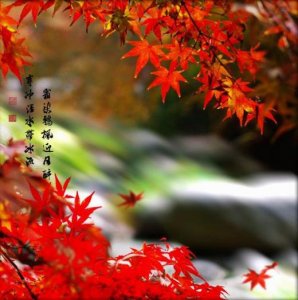 ​带画字的七字霸气经典语录（2023经典霸气语录）