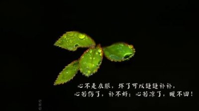 ​彷徨 彷徨之刃经典语录[18句]