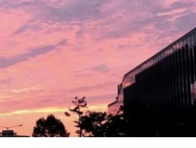 ​环境描写森林的句子