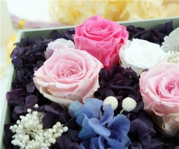 ​超级短的暖人心的句子