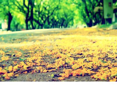 在乎一个人的句子