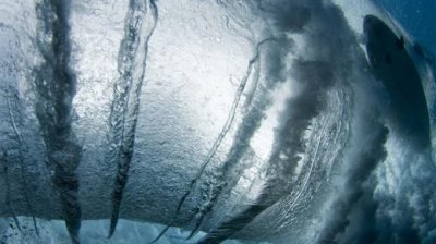 ​拟人化的英语句子（小学生拟人的句子大全）