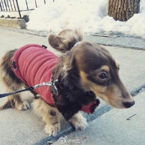 ​孤独黑暗系句子 黑暗系忧郁图片[24句]