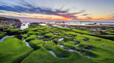 ​描写女子倾国倾城句子 描写冷美人外貌的句子