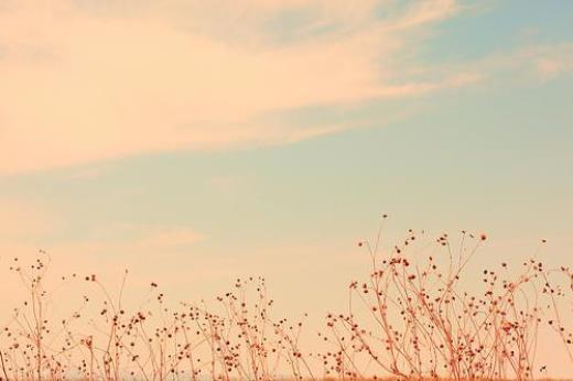 很丧的句子关于自杀的