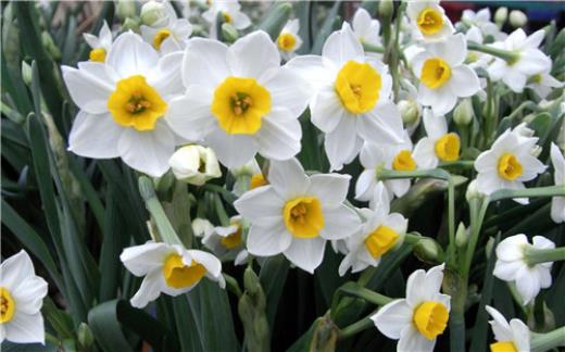 面对流言蜚语的句子