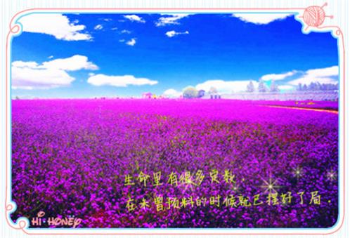 形容两个人感情渐行渐远 夫妻感情越走越远句子