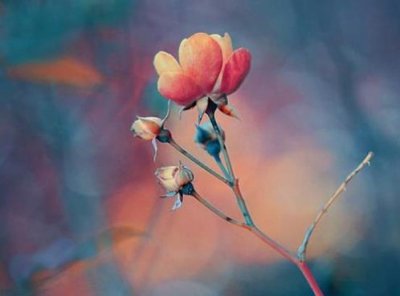 ​毕业句子简短8字（毕业赠言短句10字）