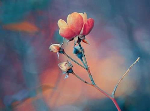 毕业句子简短8字（毕业赠言短句10字）