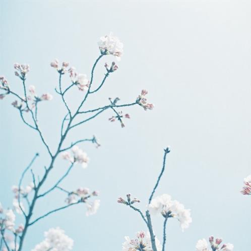 爸爸对女儿的爱短句子 父亲赞美女儿的句子