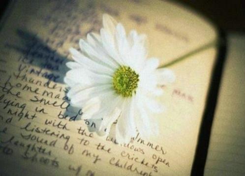 早上好的句子大全,早上好问候语