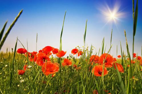 表示我等你的句子