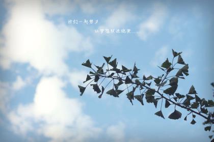 女人心态阳光的句子