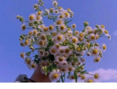 ​简短座右铭8个字(八字好句大全1000个)