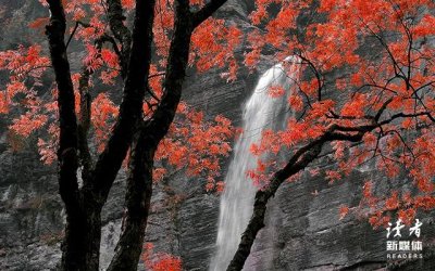 ​博尔赫斯笔下的10句话，意蕴深刻浪漫到极致的句子