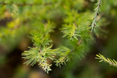 ​学习励志句子高燃合集（35句关于学习方面的励志名言）