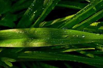 ​雨后的空气清新的表达 雨后空气清新的句子说说