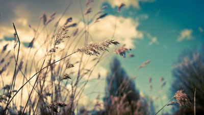 ​高情商的哄人句子大全（情商高的人明白，朋友遇到难事，有3句安慰人的话不能