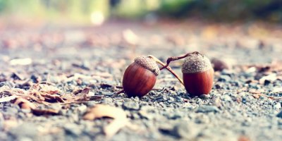 ​适合发朋友圈的优美青春句子