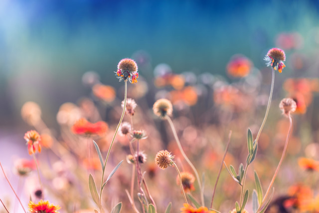 烧烤店幽默宣传广告语 自己烧烤标语