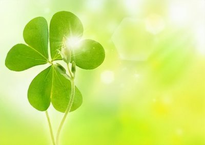 ​爰的唯美句子，简短入心坎的情感句子