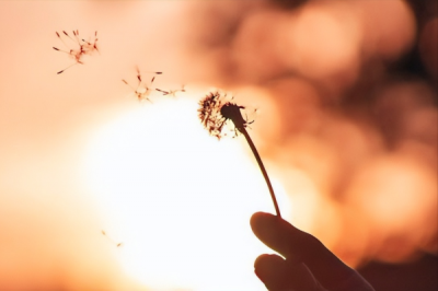 ​适合独处静心唯美句子（二）