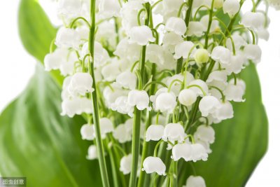 ​唯美精辟的朋友圈语录，触碰心灵的阳光句子，请收好