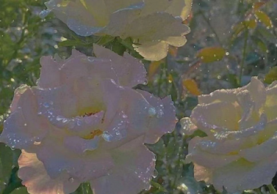 ​表达正在热恋的句子文案