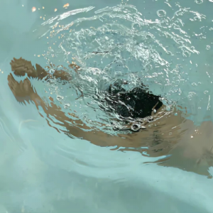 ​高情商失望的句子文案，满满的负能量