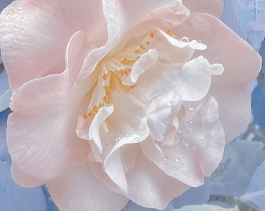 ​很精辟的现实经典语录 有点难过的抑郁语录