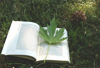 ​心灵美的句子经典语录（超唯美的心灵语录，句句都是经典，越看越喜欢！）