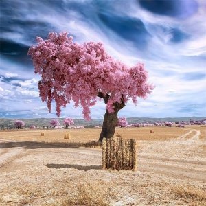 ​阳光温暖的早上唯美句子，人气很高，句句说的漂亮