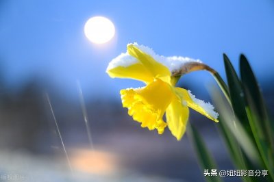 ​关于冬的优美句子一一短