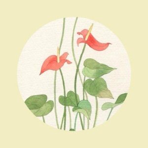 ​最深入人心的经典短句语录，句句精辟入骨！