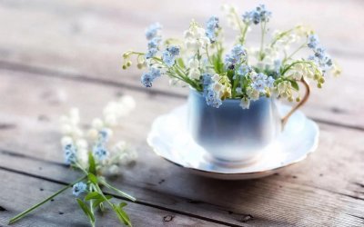 ​形容冬日暖阳的句子 句子很短，却温暖整个冬天