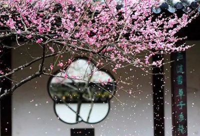 ​有关桃花开优美句 桃之夭夭，惊艳了整个春天!