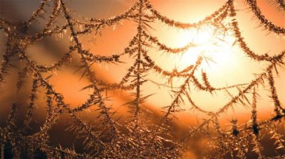 ​有关年轻要疯狂的语句 关于青春少年疯狂的句子