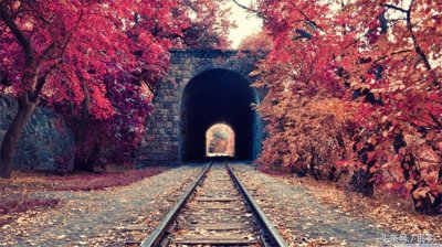 ​关于生活哲理的句子唯美，感悟人生，值得深思值得收藏，适合转发朋友圈