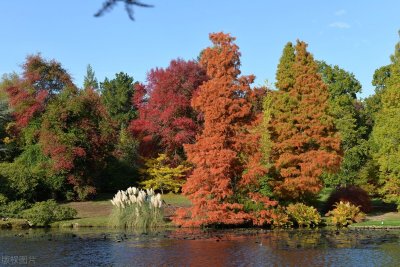 ​文案短句温柔干净（文案：温柔干净的短句文案）