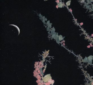 ​想念一个人却不敢打扰对方的说说 默默地思念着一个人的唯美文案