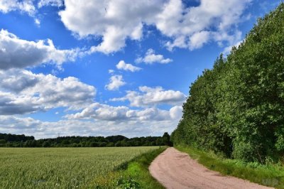 ​虐心的句子经典语录（二十个触碰心灵的句子，句句经典虐心，看一眼就爱上