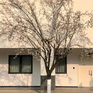 ​适合发朋友圈表达想念某人的唯美短句文案