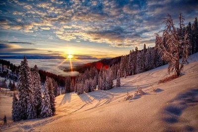 ​忍的句子经典语录（“忍让”是智慧，句句经典）