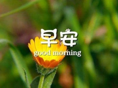 ​022很唯美的早安心语，成熟优雅，气质满分