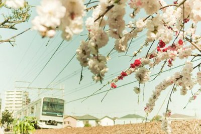 ​朋友圈写醉红尘的唯美句子，醉了红尘，醉了这个季节